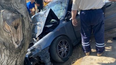 Orhangazi - İznik yolu üzerinde meydana gelen trafik kazasında, sürücünün