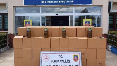 Bursa İl Jandarma Komutanlığına bağlı İstihbarat Şube Müdürlüğü ekipleri, yaptığı