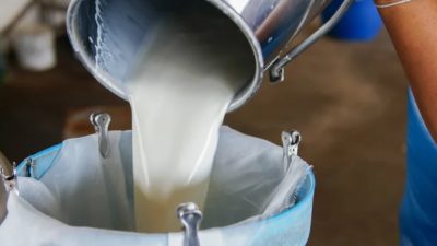 Ulusal süt Konseyi, çiğ süt tavsiye fiyatının 1 Mayıs’tan geçerli