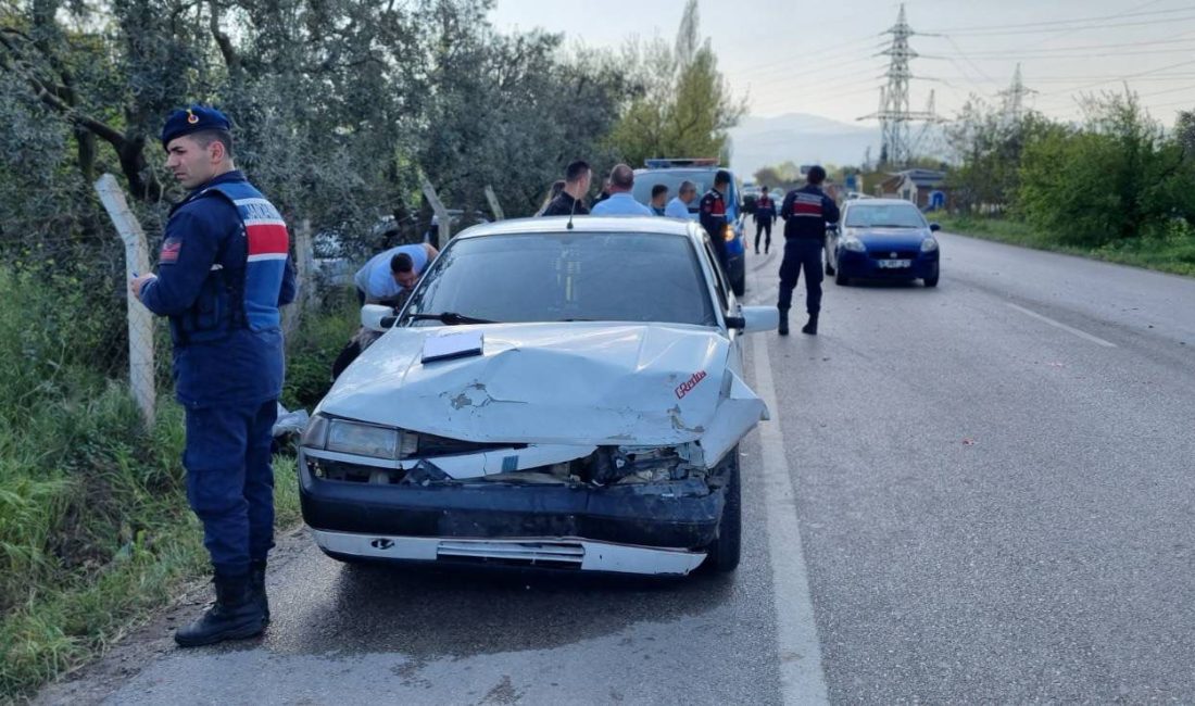 Bursa'nın Orhangazi ilçesindeseyir halindeki