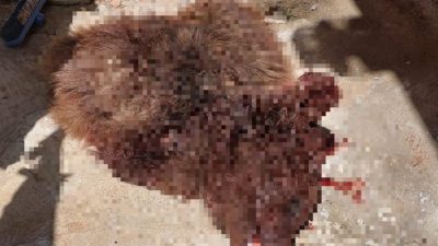 Bursa'nın Orhangazi ilçesinde meydana gelen olayda temizlik görevlisi tarafından çöp
