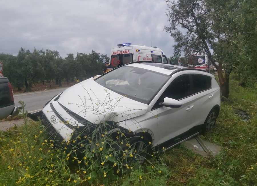 Orhangazi - İznik yolu