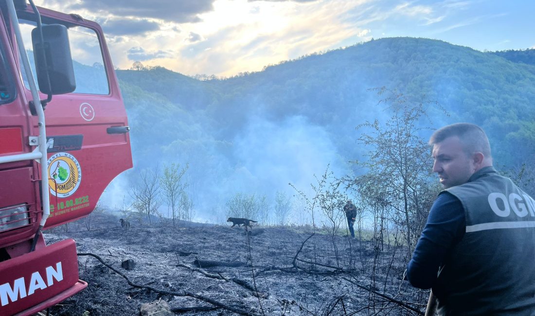 Orhangazi'nin Karsak ile Gemlik'in