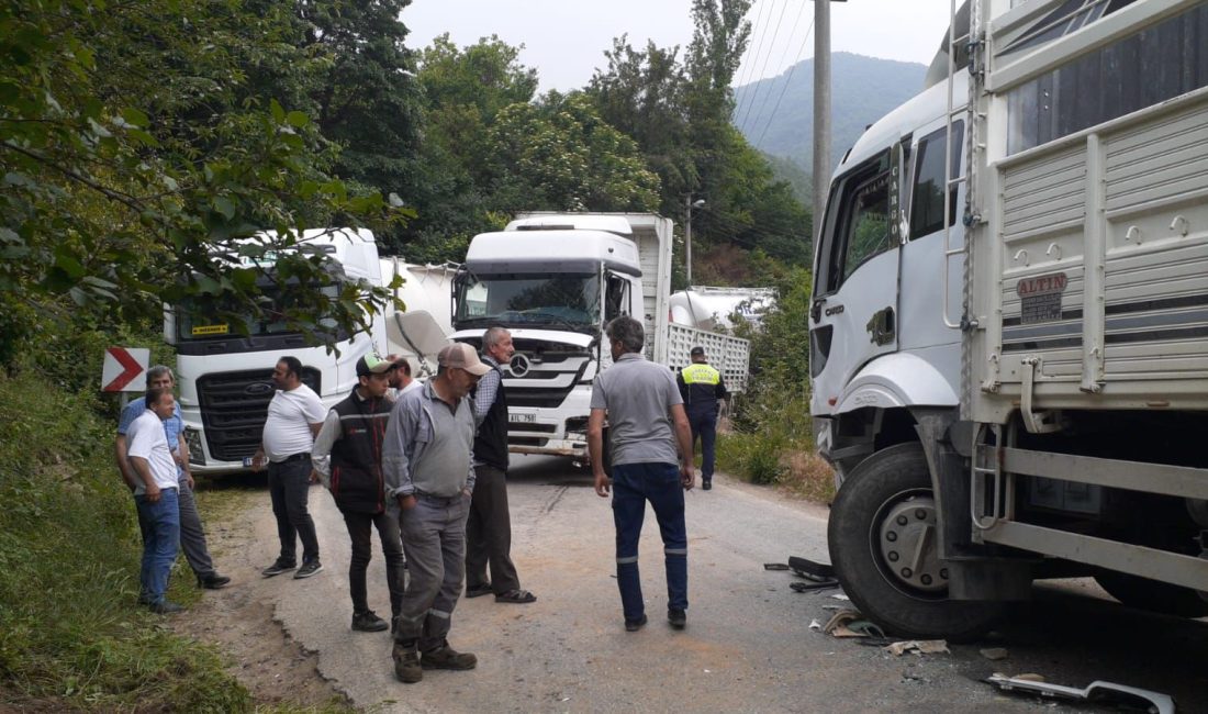 Bursa'nın Orhangazi ilçesinde meydana