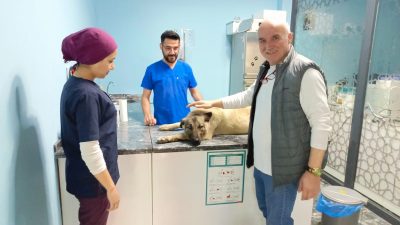 Bursa'nın Orhangazi ilçesinde meydana gelen olayda  evinin önünden aracı ile