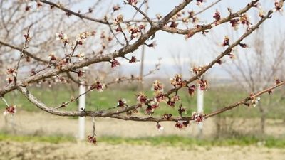 Meteoroloji tarafından yapılan son değerlendirmeye göre 5 Mayıs Pazar günü