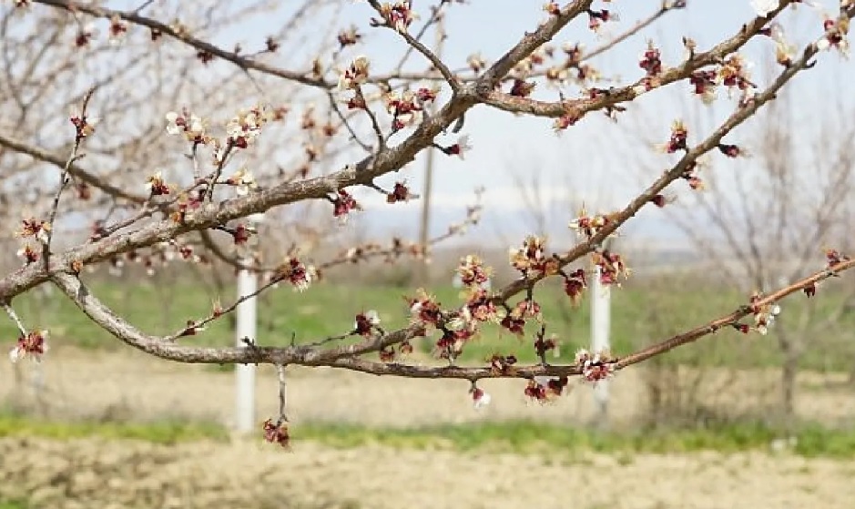 Meteoroloji tarafından yapılan son