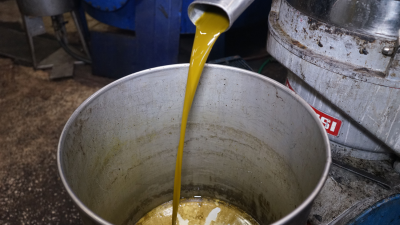 Zeytin çekirdeği ve posasından elde edilen pirina yağının raflarda yeni