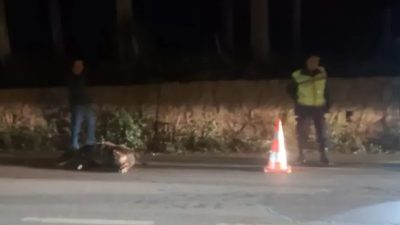 Bursa'nın İznik ilçesiinde meydana gelen trafik kazasında ana yolda tırın