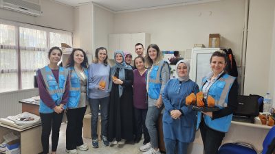 Orhangazi Belediyesi'nin Beyaz Masa - Mavi Yelekliler ekipleri, Dünya Hemşireler