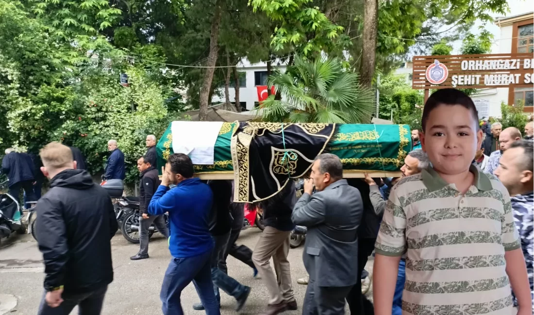 Bursa'nın Orhangazi ilçesinde yanındaki