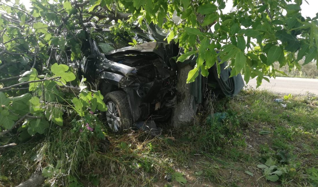 Bursa'nın Orhangazi ilçesinde meydana