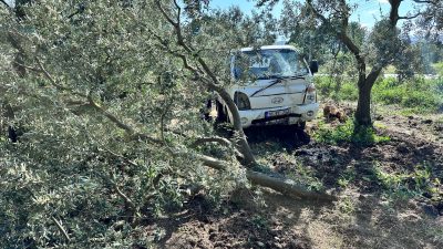 Bursa'nın Orhangazi ilçesinde meydana gelen trafik kazasında sürücünün kontrolünden çıkan