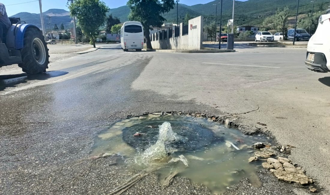 Bursa'nın Orhangazi ilçesinde Türkiye'nin