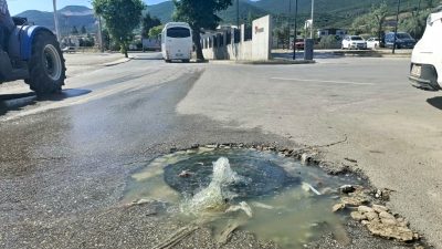Bursa'nın Orhangazi ilçesinde Türkiye'nin en önemli turşu üretim merkezlerinden biri