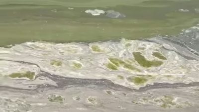 Son yıllarda başta kuraklık olmak üzere çeşitli sebeplere bağlı çekilmesi