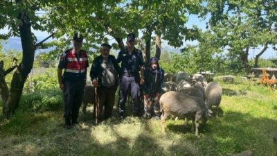 Bursa'nın Osmangazi ilçesinde İl Jandarma Komutanlığı ekipleri Kirazlı Mahallesi'nde gece