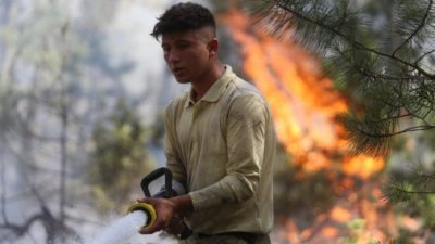 Bursa'da Haziran ayında Orhaneli ve Büyükorhan ilçelerindeki orman yangınlarında 490