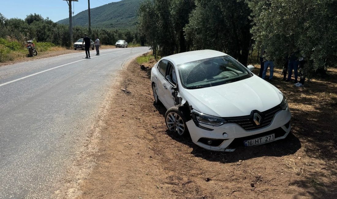 Bursa’nın Orhangazi ilçesinde meydana