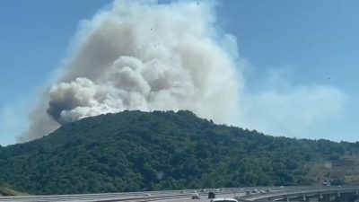 Yaz günlerinin gelmesiyle son günlerde meydana gelen orman yangınları ile