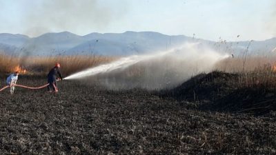 Haziran ayı itibariyle artış gösteren hava sıcaklıkları son günlerde rekor
