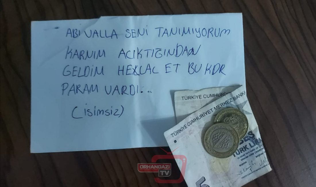 Bursa'nın Orhangazi ilçesinde hafta