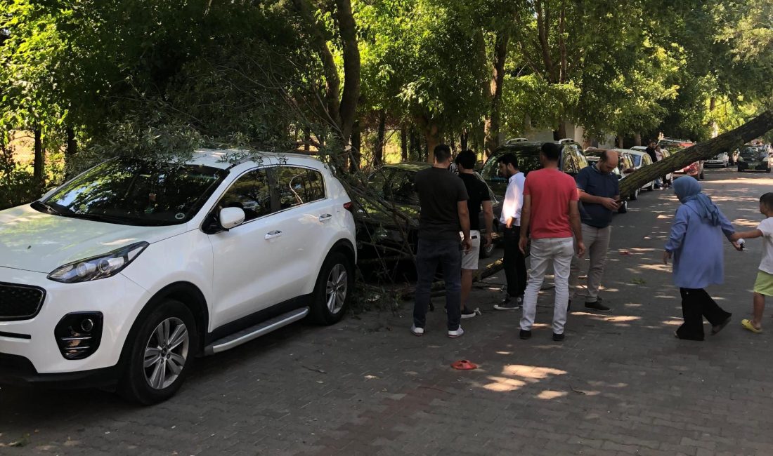 Bursa’nın Orhangazi ilçesinde İznik