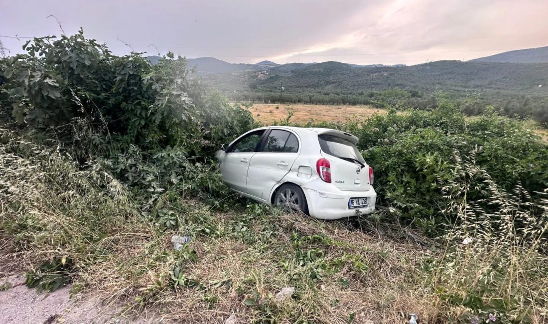 Bursa’nın Orhangazi ilçesinde meydana