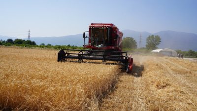Orhangazi Belediyesi, Orhangazi Bahçe Kültürleri Tarım, Hayvancılık, Sanayi ve Ticaret