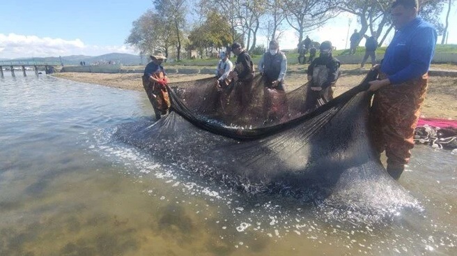 Bursa’da İznik gölünde en