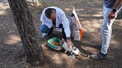 Orhangazi Belediyesi, hava sıcaklıklarının mevsim normallerinin üzerinde seyretmesi nedeniyle sokak