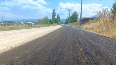 Bursa’nın Orhangazi ilçesinde Muradiye mahallesi İznik yolundaki bir sokak üzerinde