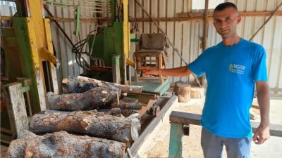 İnşaat sektörünün en önemli kalemlerinden biri olan ahşap ürünlerinin tamamında