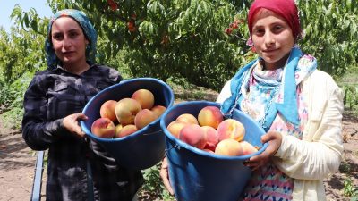 Türkiye Odalar ve Borsalar Birliği (TOBB) Başkanı Rifat Hisarcıklıoğlu, Bursa