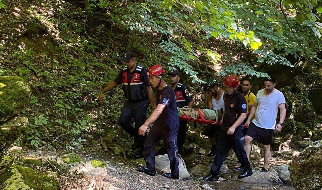 Bursa’nın İznik ilçesinde meydana