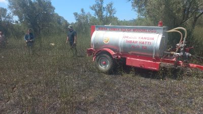 Bursa’nın Orhangazi ilçesinde otluk alanda başlayan yangın kısa sürede zeytin
