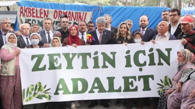 Bir süredir kamuoyunda zaman zaman tartışmalara neden olan  zeytinliklerin yönetmelikle