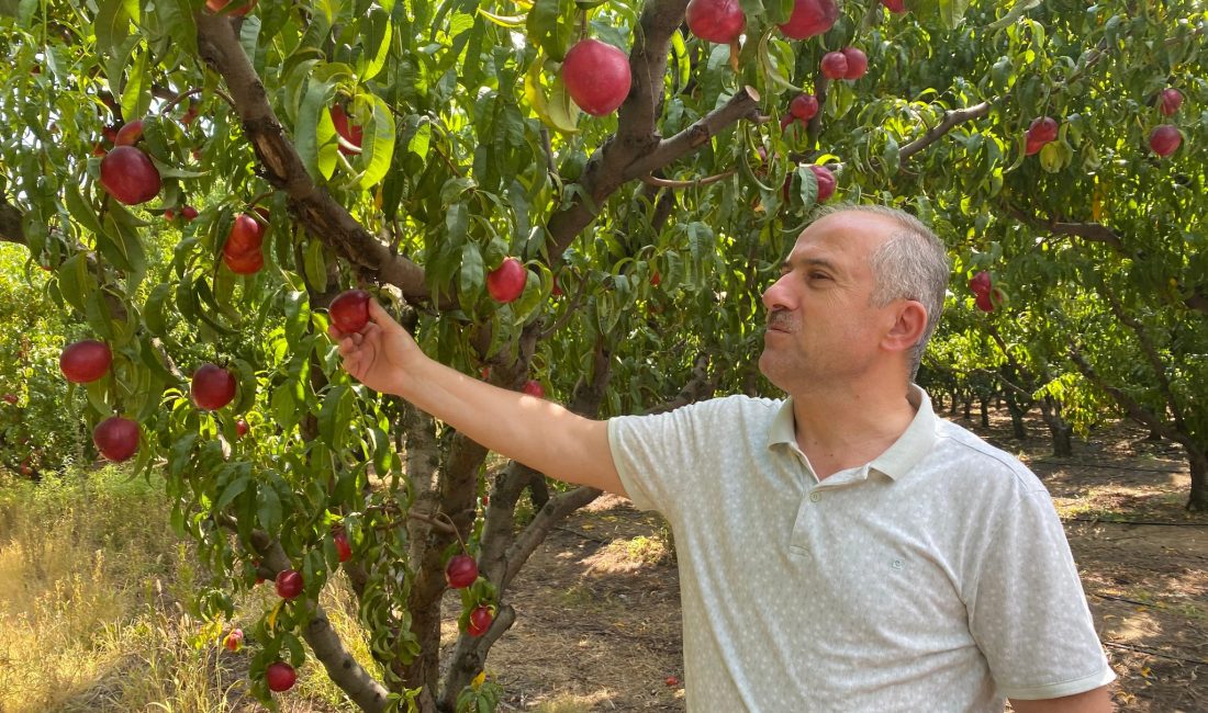 Bursa'nın Orhangazi ilçesinde son