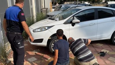 Bursa’nın Orhangazi ilçesinde park halindeki otomobilin motor bölümüne girdikten sonra