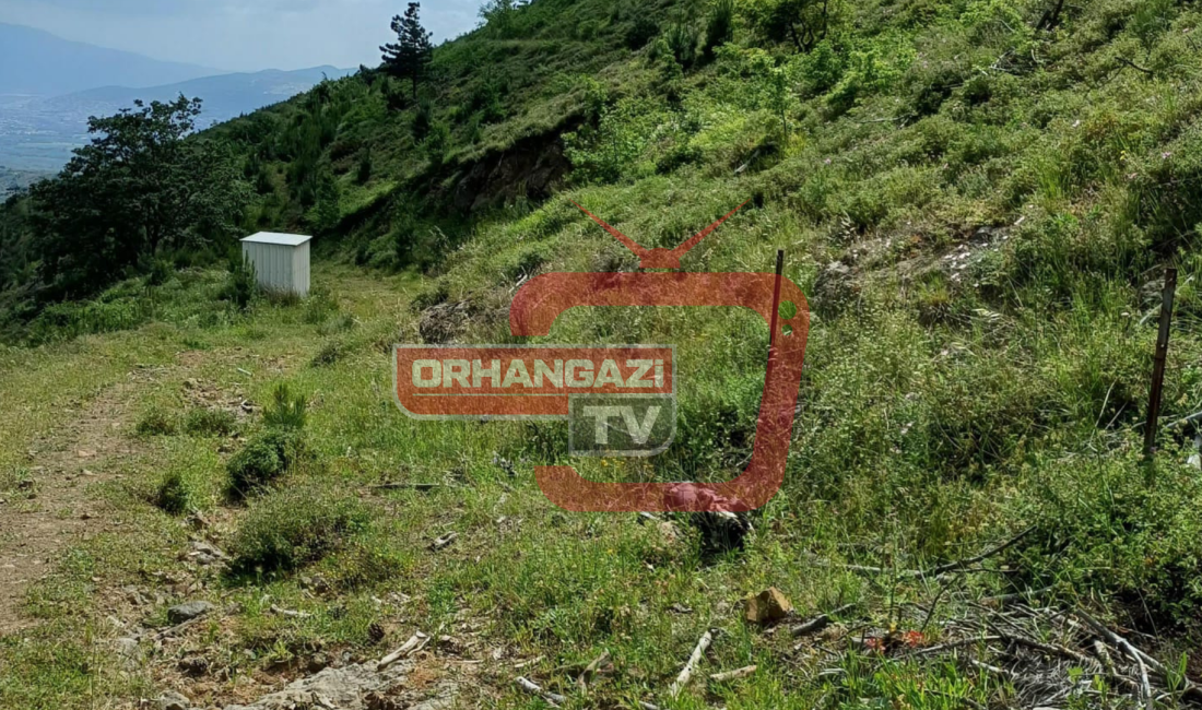 Bursa’nın Orhangazi ilçesinde meydana