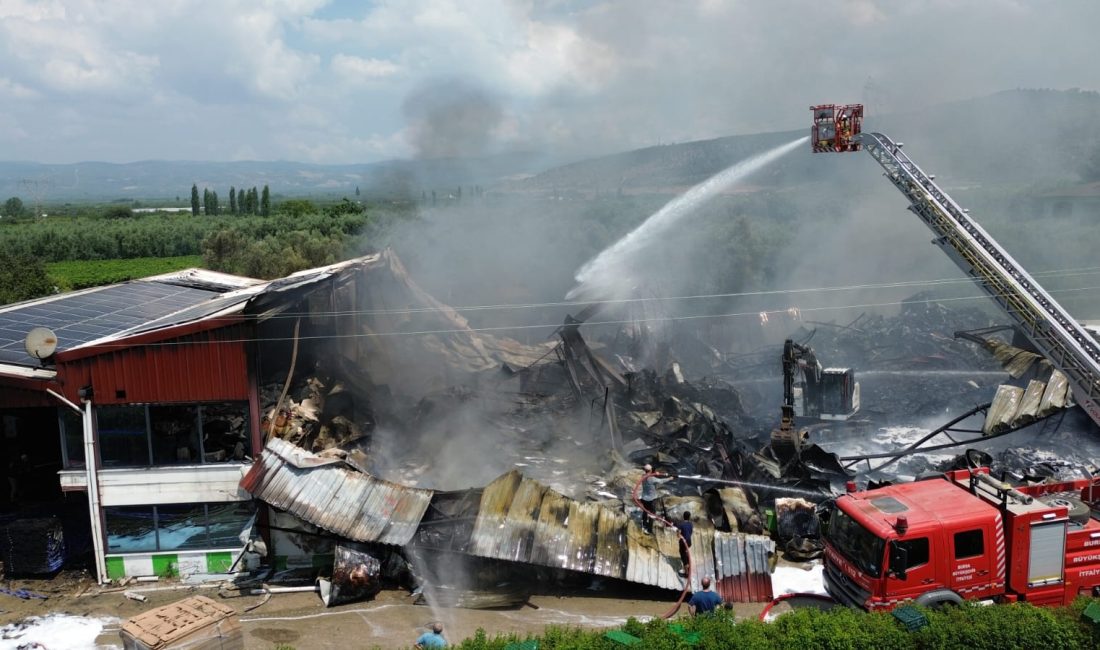 Bursa’nın İznik ilçesinde bulunan