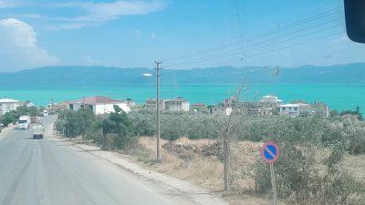 İznik gölünde hava sıcaklarının artmasıyla her yaz döneminde meydana gelen