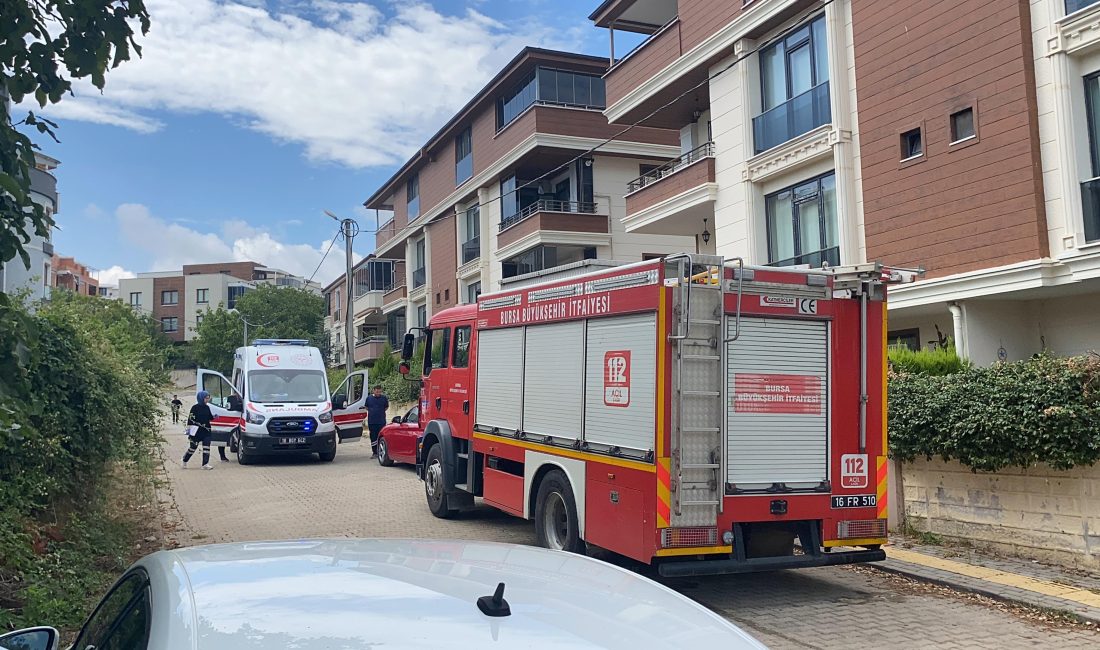 Bursa'nın Orhangazi ilçesinde bir