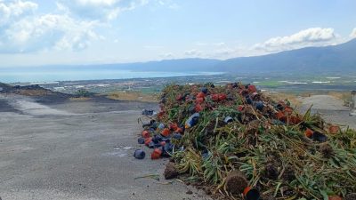 Bursa'nın Orhangazi ilçesinde Kale bölgesi diye bilinen alana dökülen çöplerin