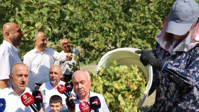 Bursa’da fındık üretimi bakımdan önemli bir yere sahip olan Orhangazi