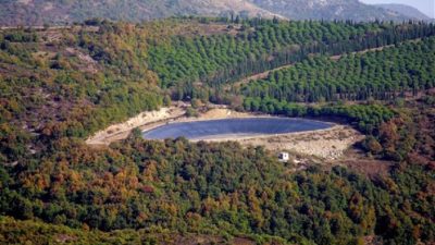 Bursa'nın Orhangazi ilçesine bağlı  kırsal Çakırlı mahallesinde başta zeytinlikler olmak