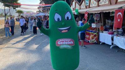 Bursa'nın Orhangazi ilçesinde 7 yıldır yapılan geleneksel turşu festivalinin 8.si