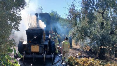 Bursa'nın Orhangazi ilçesinde meydana gelen olayda, orman için yol açma