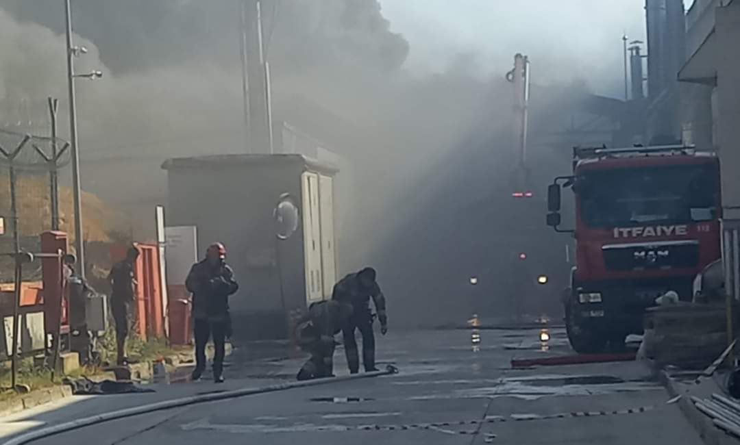 Bursa’nın Orhangazi ilçesinde bulunan