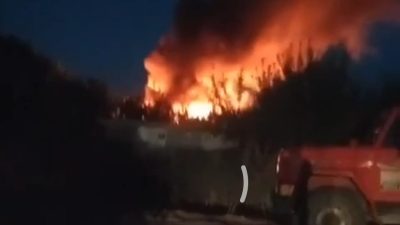 Bursa’nın Orhangazi ilçesinde meydana gelen olayda İznik gölü kenarında bulunan